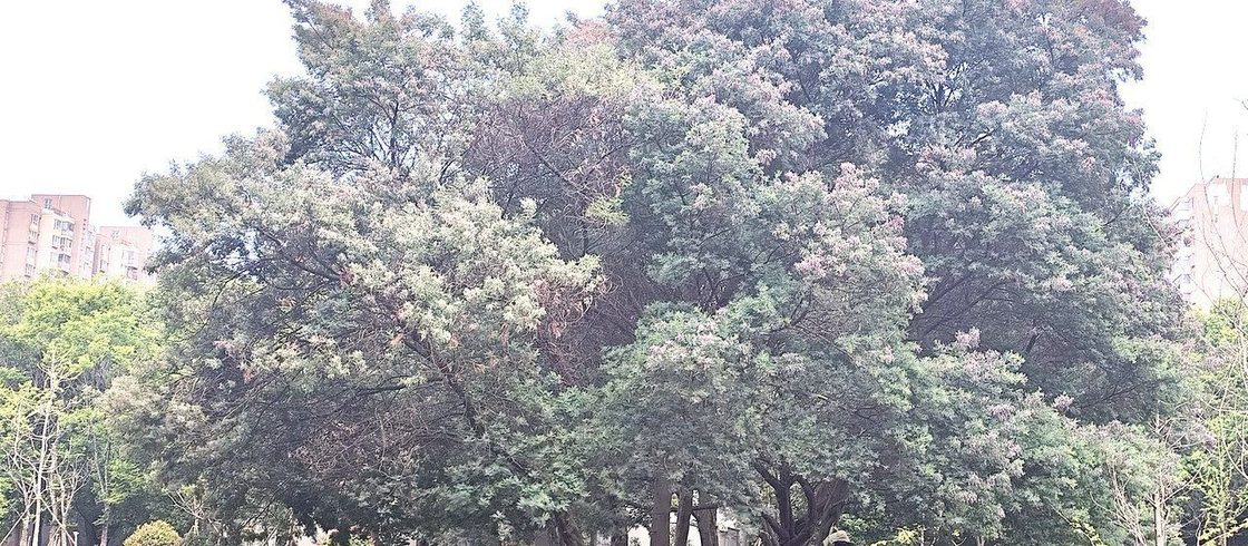 《与青春期和解》读书营 · 水蕴心理工作室实景